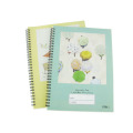 Tamanho 142 * 106mm PP Cover Spiral Book Office Stationery Supplier Student Memo Pad